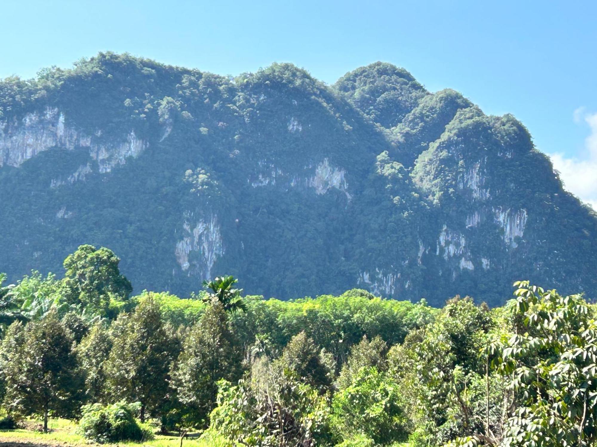Khaosok Secret Hostel Khao Sok National Park Экстерьер фото
